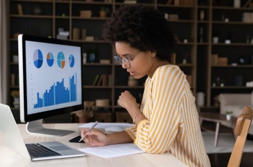 budget3 FitMaxWzkzMCwzMzZd